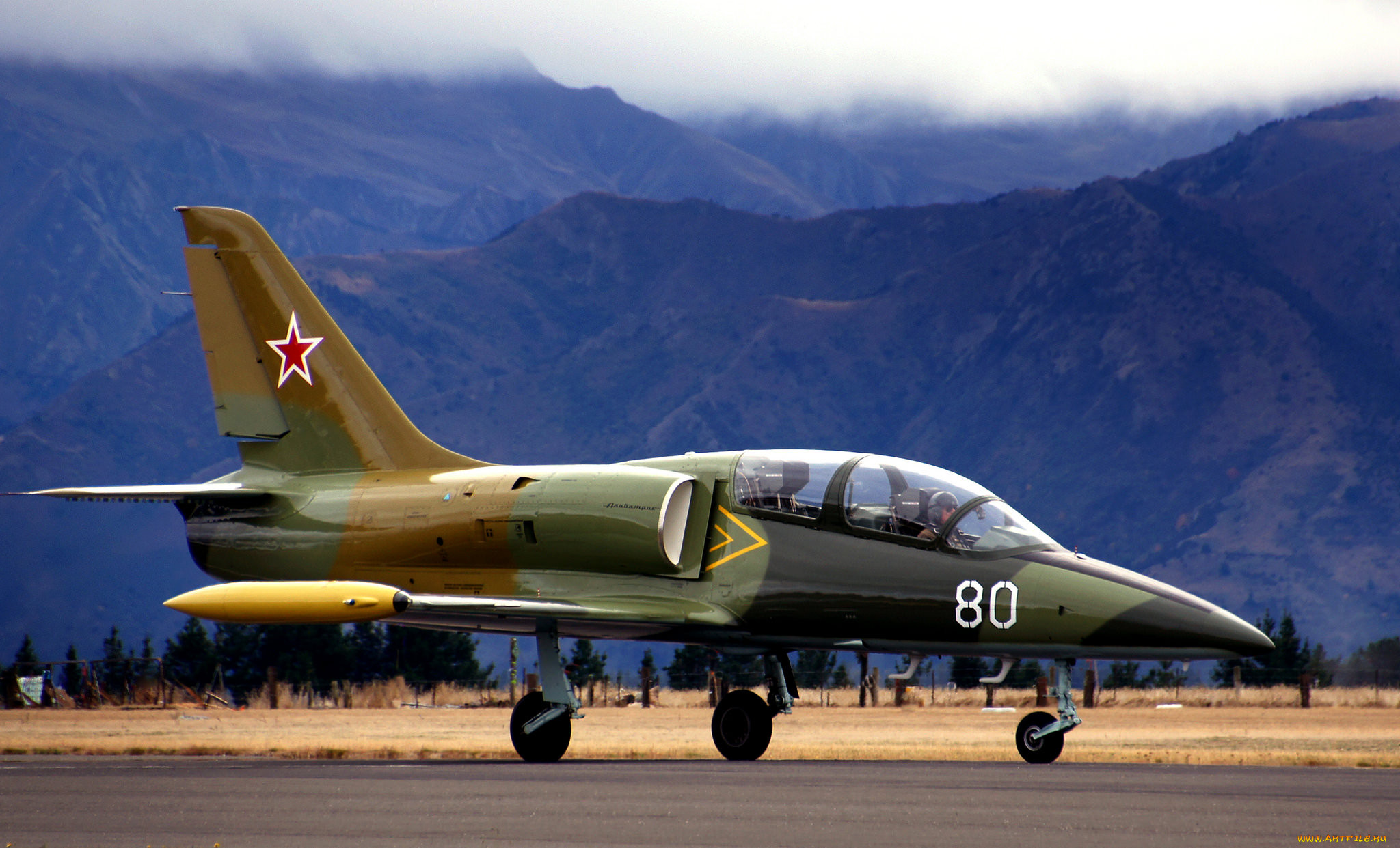 l-39 albatros`, ,  , 